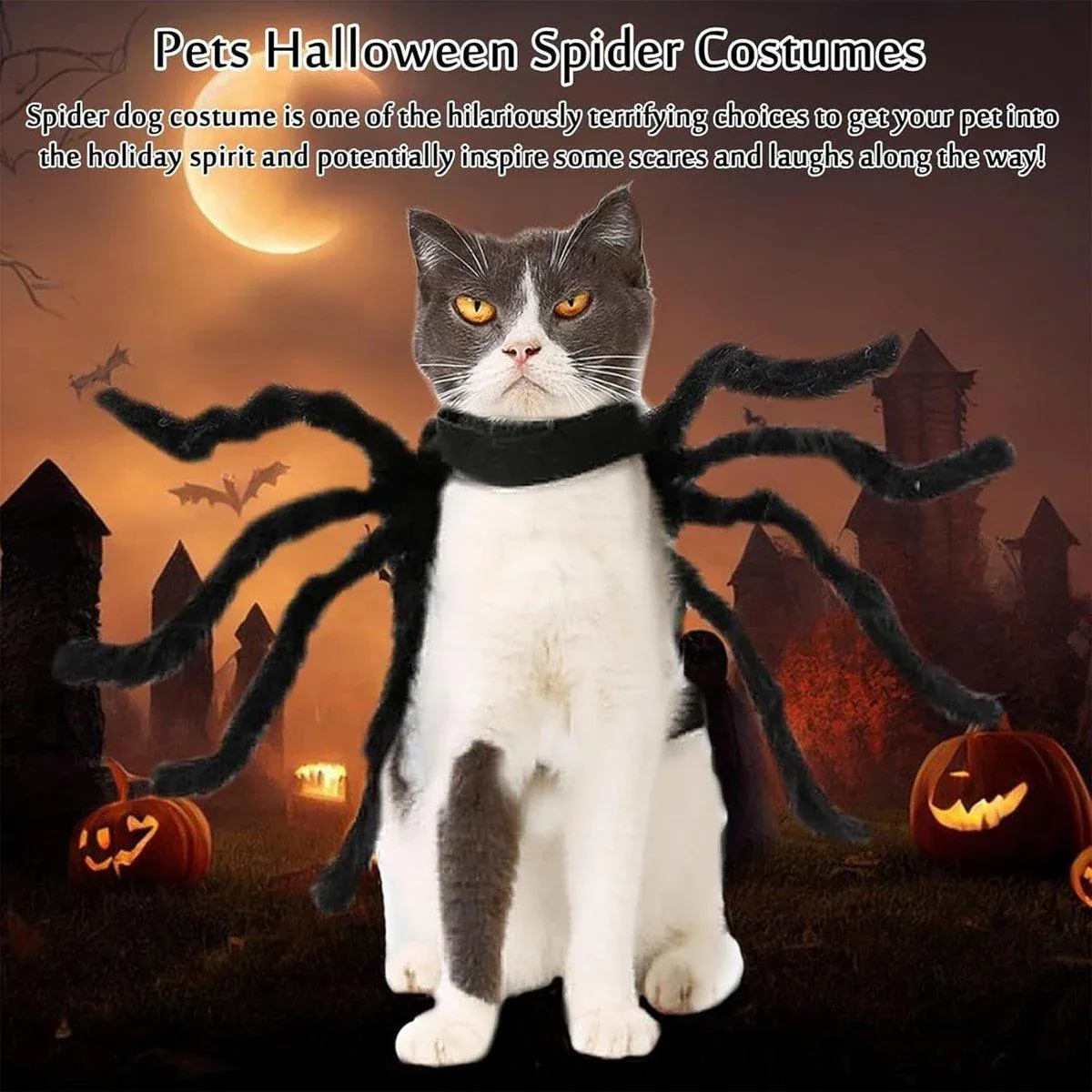 Pet Spooky Big Spider Halloween Costume Dress Up for Dogs Cats and Small Pets - L - Image 5