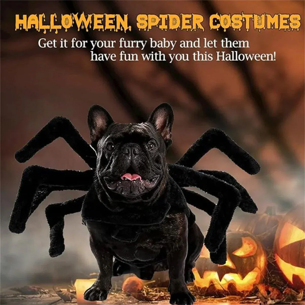 Pet Spooky Big Spider Halloween Costume Dress Up for Dogs Cats and Small Pets - L - Image 8